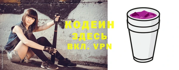 прущий лед Пестово