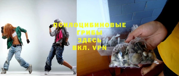 прущий лед Пестово