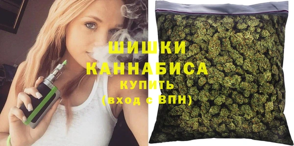 прущий лед Пестово