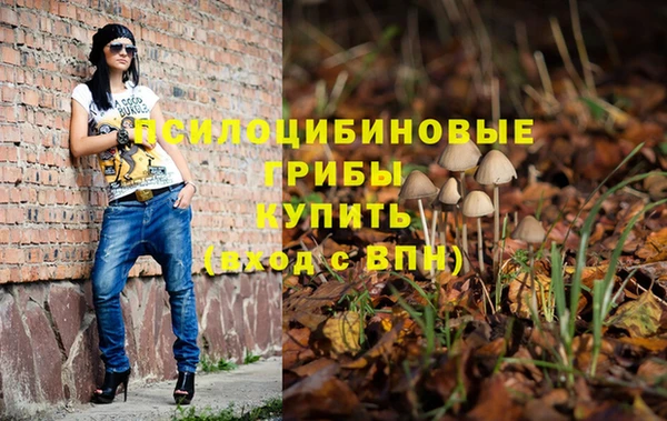 прущая мука Пересвет