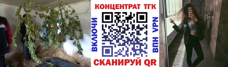 где продают наркотики  Берёзовский  сайты даркнета телеграм  ТГК Wax 