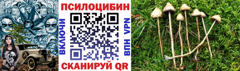 где можно купить   Берёзовский  Галлюциногенные грибы Magic Shrooms 
